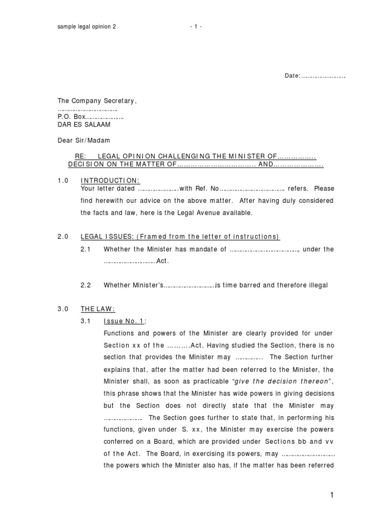 Sample Legal Opinion 2 PDF