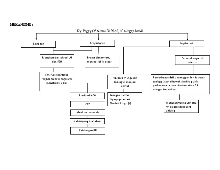 Mekanisme Kehamilan | PDF