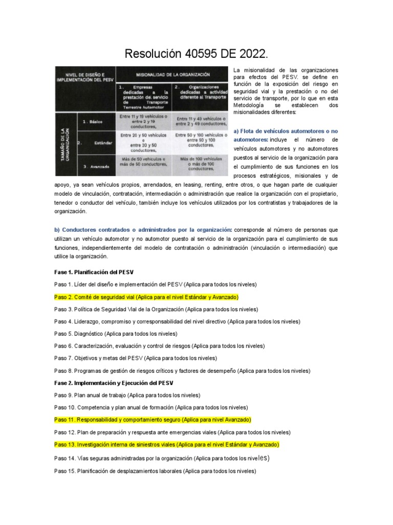 resoluci-n-40595-de-2022-pesv-pdf