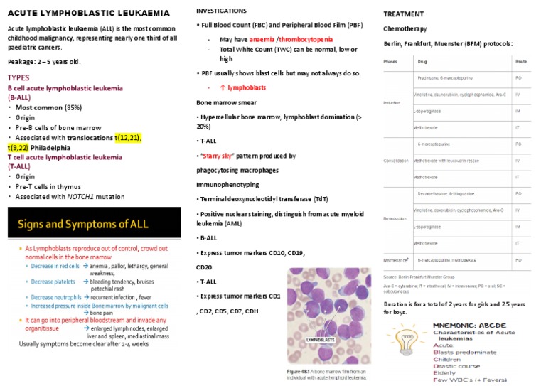 Acute Lymphoblastic Leukaemia | PDF