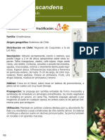 Articles-255615 Recurso PDF