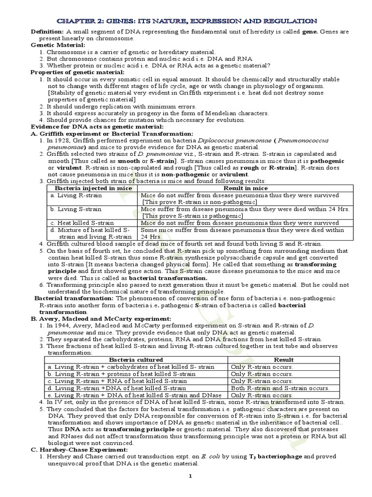 Bio Class 12 Molecular Basis | PDF