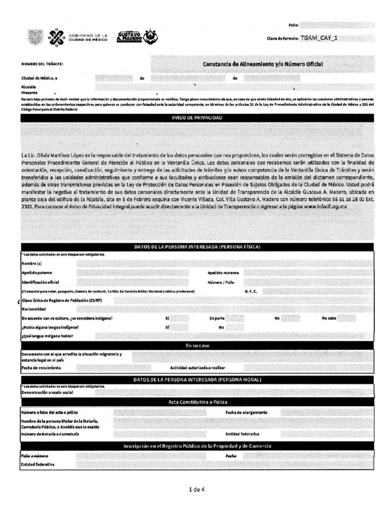 Constancia de Alineamiento y Número Oficial | PDF