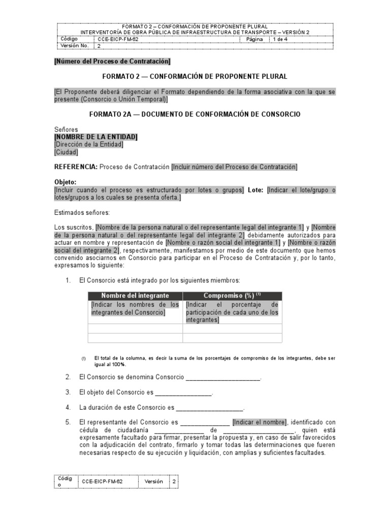 Conformación de Proponente Plural | PDF | Negocios