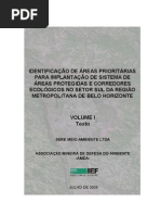 IDENTIFICAÇÃO DE ÁREAS PRIORITÁRIAS PARA IMPLANTAÇÃO DE SISTEMA DE ÁREAS PROTEGIDAS E CORREDORES ECOLÓGICOS NO SETOR SUL DA REGIÃO METROPOLITANA DE BELO HORIZONTE