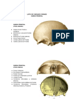Lista de Chequeo Cráneo