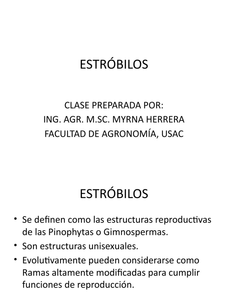 Estructuras reproductivas: Estróbilos | PDF | Botánica | Plantas