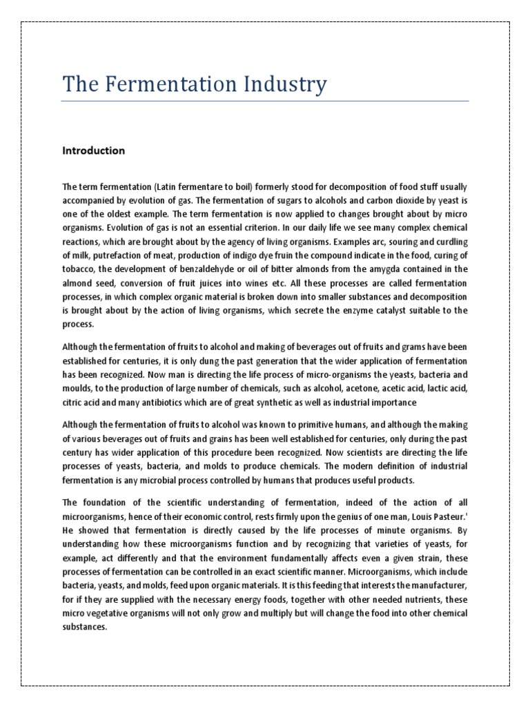 Fermentation 1 | PDF | Fermentation | Malt