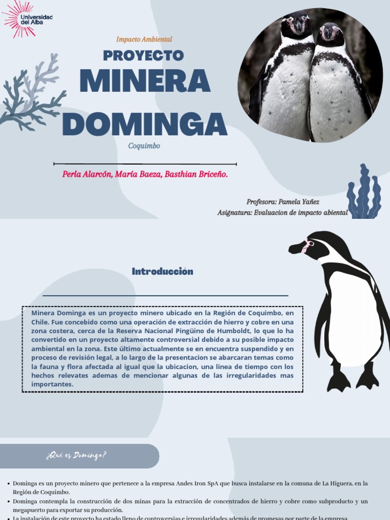 Proyecto Domiga | PDF | Minería | Entorno natural
