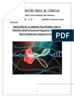 INVESTIGACIÓN FERIA DE CIENCIAS