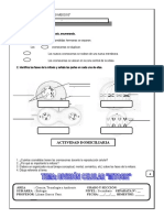 Práctica Calificada: División Celular "Mitosis-Meiosis"