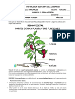 CIENCIAS NATURALES GUIA 3 Reino Vegetal, Partes Planta y Fotosintesis