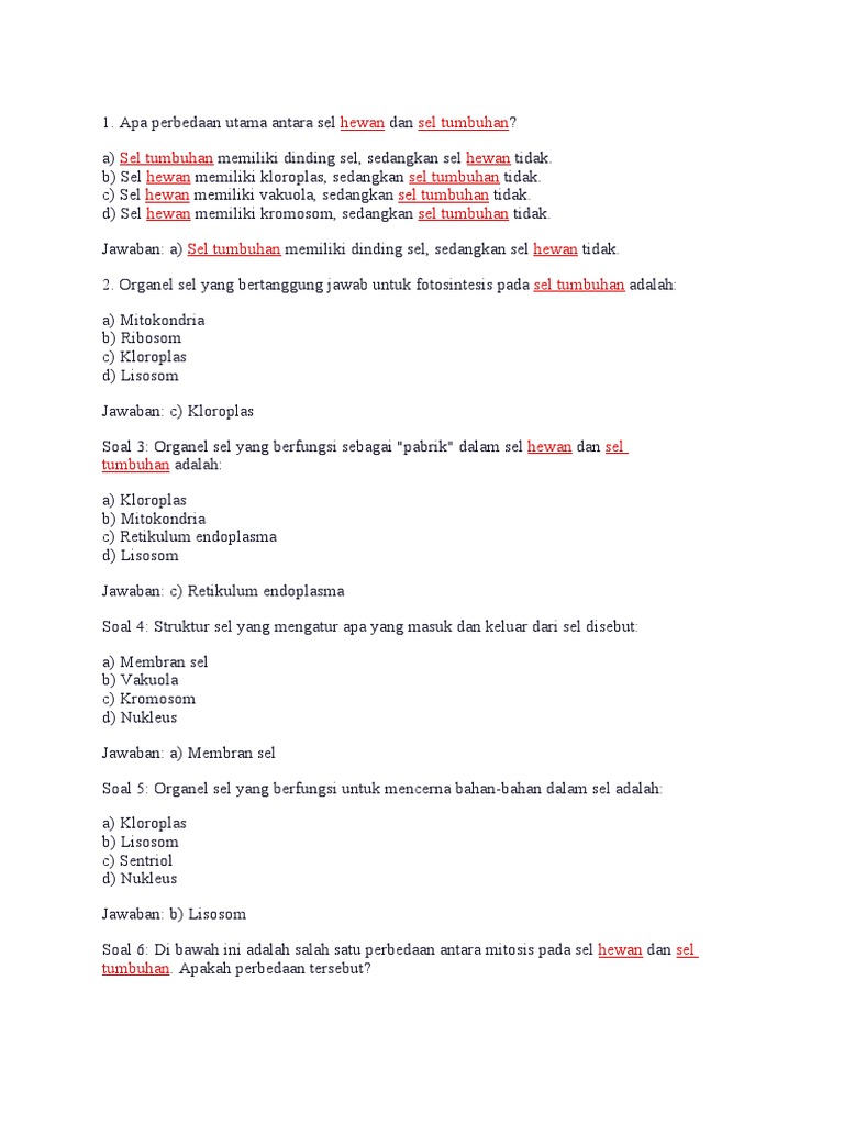 Menaklukkan Ujian Tengah Semester: Panduan Lengkap Contoh Soal UTS Biologi Kelas XI Semester 2