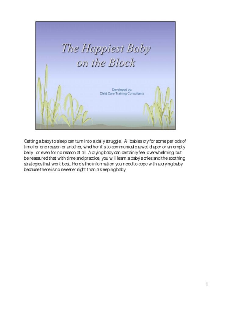 The Happiest Baby On The Block The Happiest Baby Power Point PDF