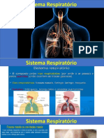 Sistema respiratorio