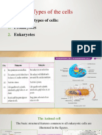 Lecture 2 Cytology