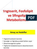 Lipid Met - Trigliserit, Fosfolipit Ve Sfingolipit Metabolizması