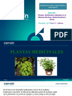 Sem. 15 Plantas Medicinales Utilizadas en El Sistema Nervioso Gatrointestinal y Renal