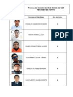 Resumen Del Proceso Electoral - Lepsa