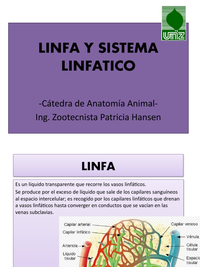 Linfa | PDF
