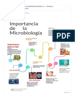 Infografia Sobre Importancia de La Microbiología