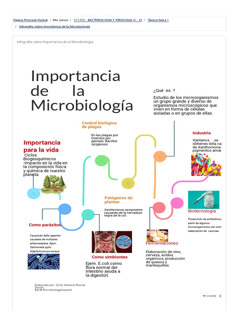 Infografia Sobre Importancia de La Microbiología | PDF | Microbiología ...