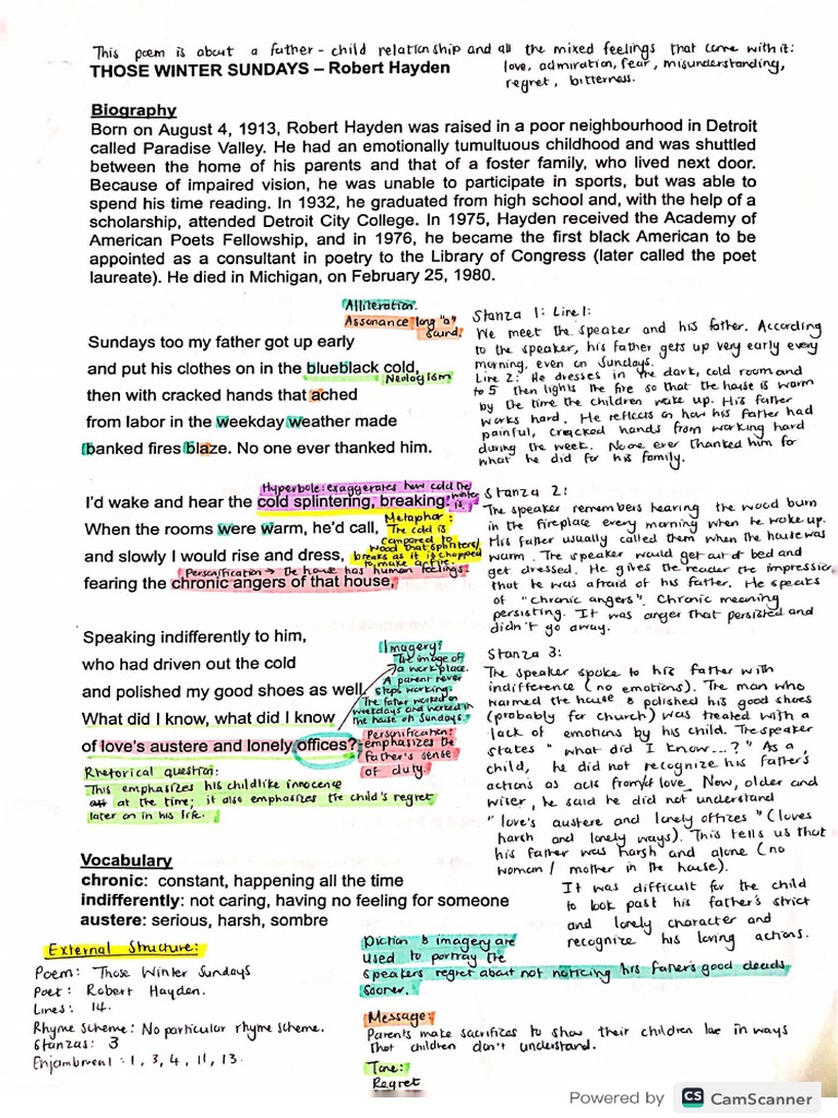 Those Winter Sundays - Notes | PDF