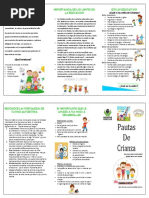 Folleto Pautas de Crianza