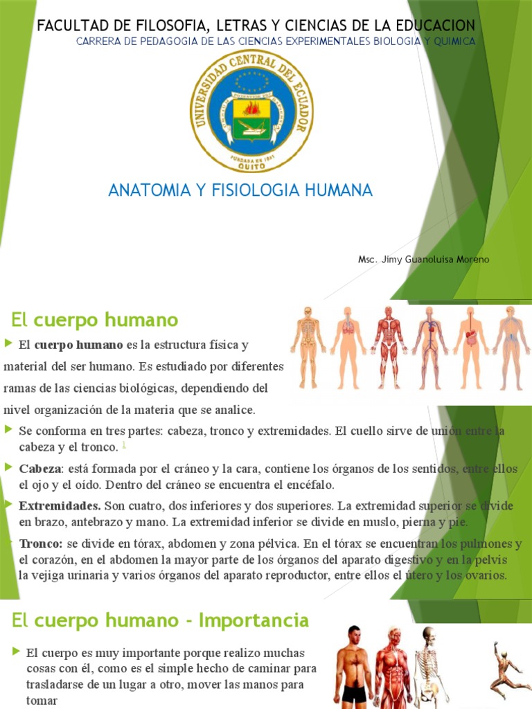 Anatomía y Fisiología del Cuerpo Humano | PDF | Términos anatómicos de ...