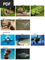 Animales que vuelan, nadan y caminan | PDF