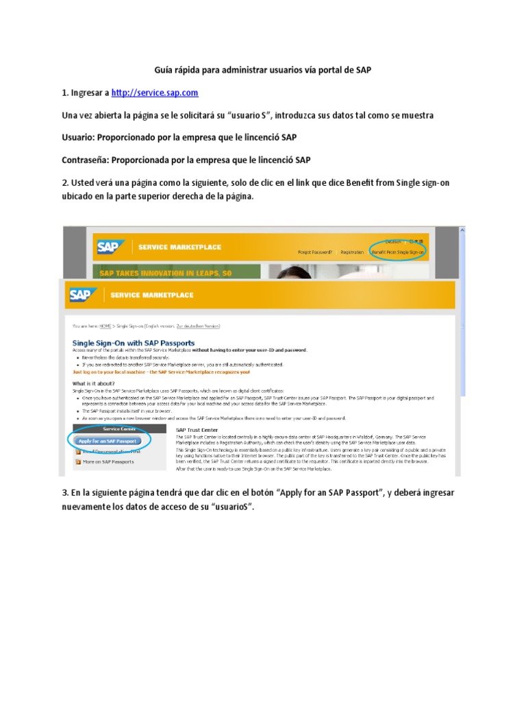 Guía para El Ingreso Al Portal de SAP | PDF | Contraseña | Ventana ... 