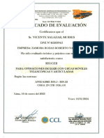 Certificado Rigger - Moises Vicente