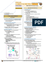 Diabetes Mellitus Type I and Type II Atf