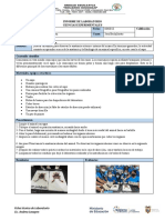 Informe de Laboratorio - Práctico