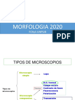 TP 1 Microscopia 2020