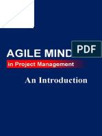 Agile Mindset