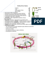 Briófitas Resumo