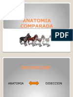 ANATOMIA COMPARADA - PPTX Clase 1
