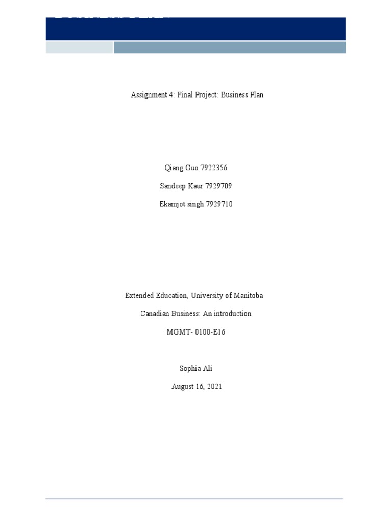 Business Plan S1-3 | PDF