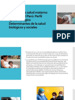 Situación de Salud Materno Infantil en El Perú
