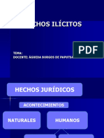 Hechos Ilícitos