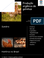 Produção Orgânica de Galinhas