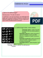 TAREA2 BIO T Embriologia