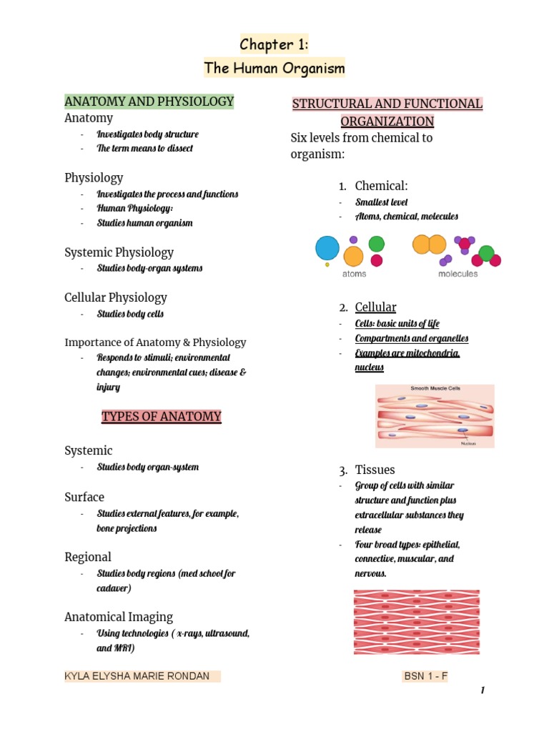 ANATOMY AND PHYSIOLOGY ALL DIAGRAMS PDF visual data 3