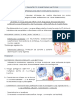 Capítulo 43. PATOGENIA Y DX DE INFECCIONES MICÓTICAS