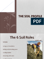 Soil Profile