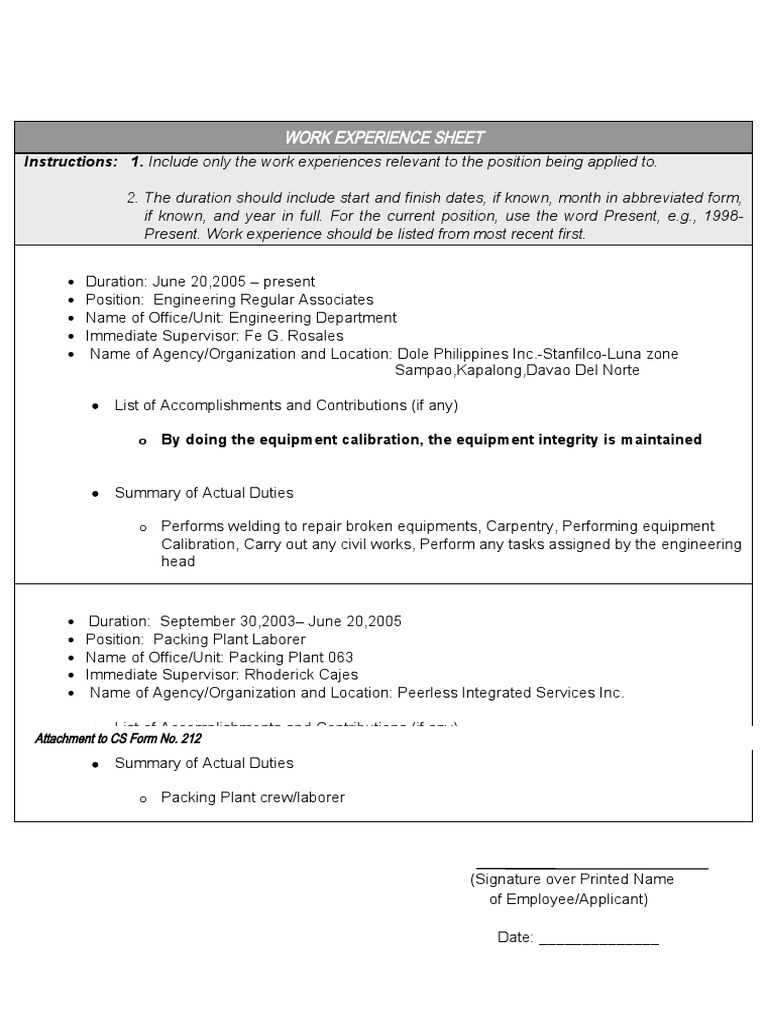 Work Experience Sheet CS Form No. 212 | PDF