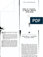 Indios Da Amazonia de Maioria A Minoria