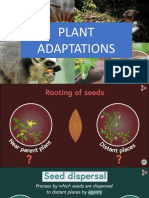 Lecture 6 Seed Dispersaal Compressed