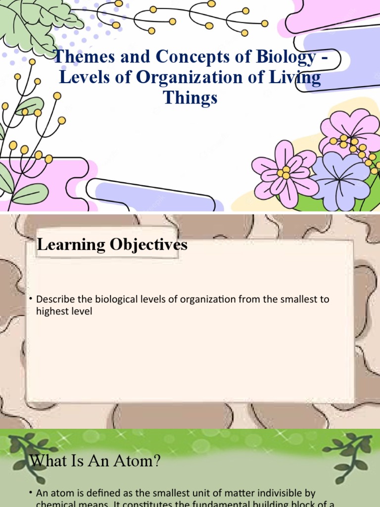 Levels of Organization of Living Things 1 PDF Macromolecules Biology